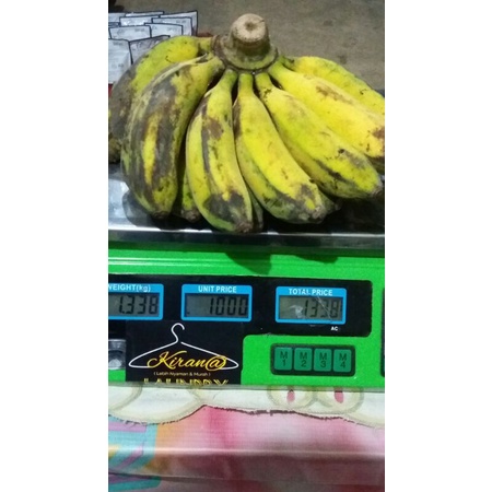 

pisang raja