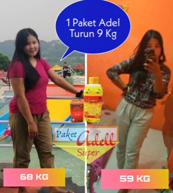 Tanaman Hias Rambat Dolar Besar - Dolar Rambat Ding-ding