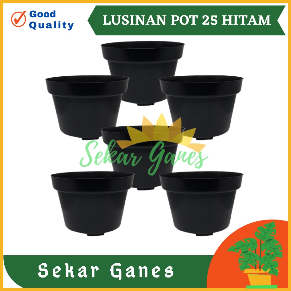 LUSINAN Pot 25 Hitam Isi 12 Pcs TERMURAH GROSIR Pot Lusinan Hitam Murah Termurah 12 15 17 20 25 30