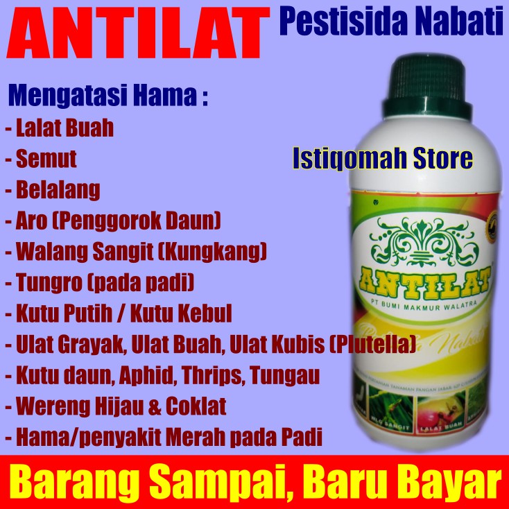 ANTILAT Pestisida Organik Nabati Obat Hama Belalang Semua Jenis Tanaman, Sayuran, Buah-buahan, dll