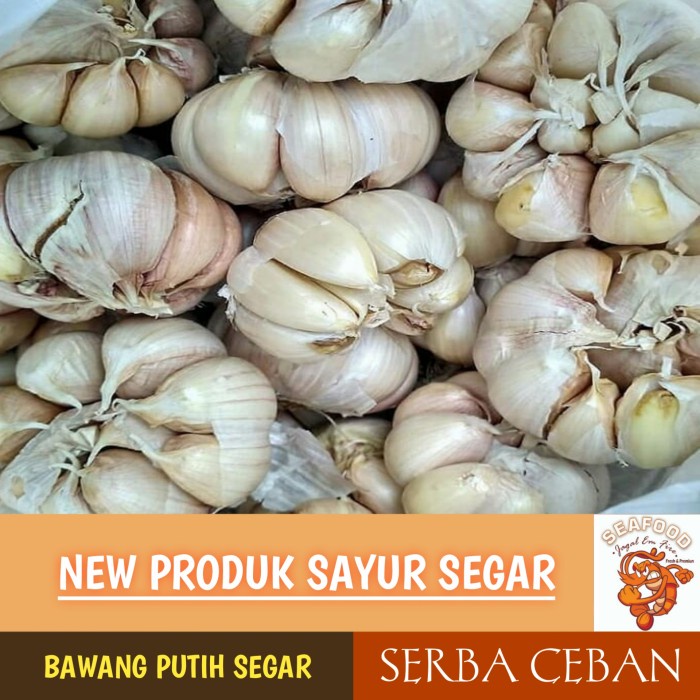 

PROMO BAWANG PUTIH SEGAR SERBA CEBAN - UTUH