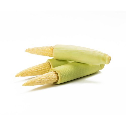 

Baby Corn/Jagung Muda 250gr
