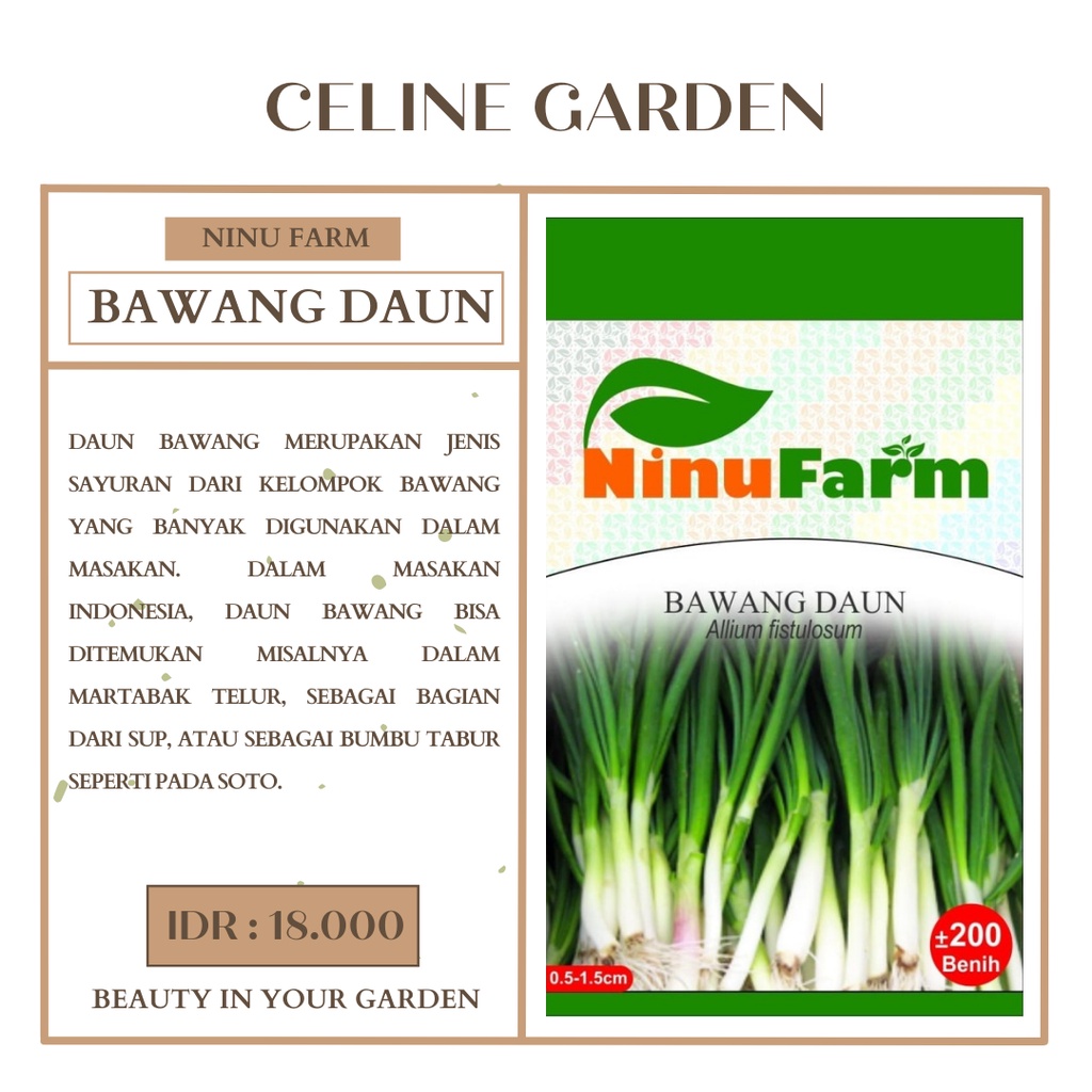 BIBIT DAUN BAWANG / BAWANG DAUN / NINUFARM / ORIGINAL PABRIK