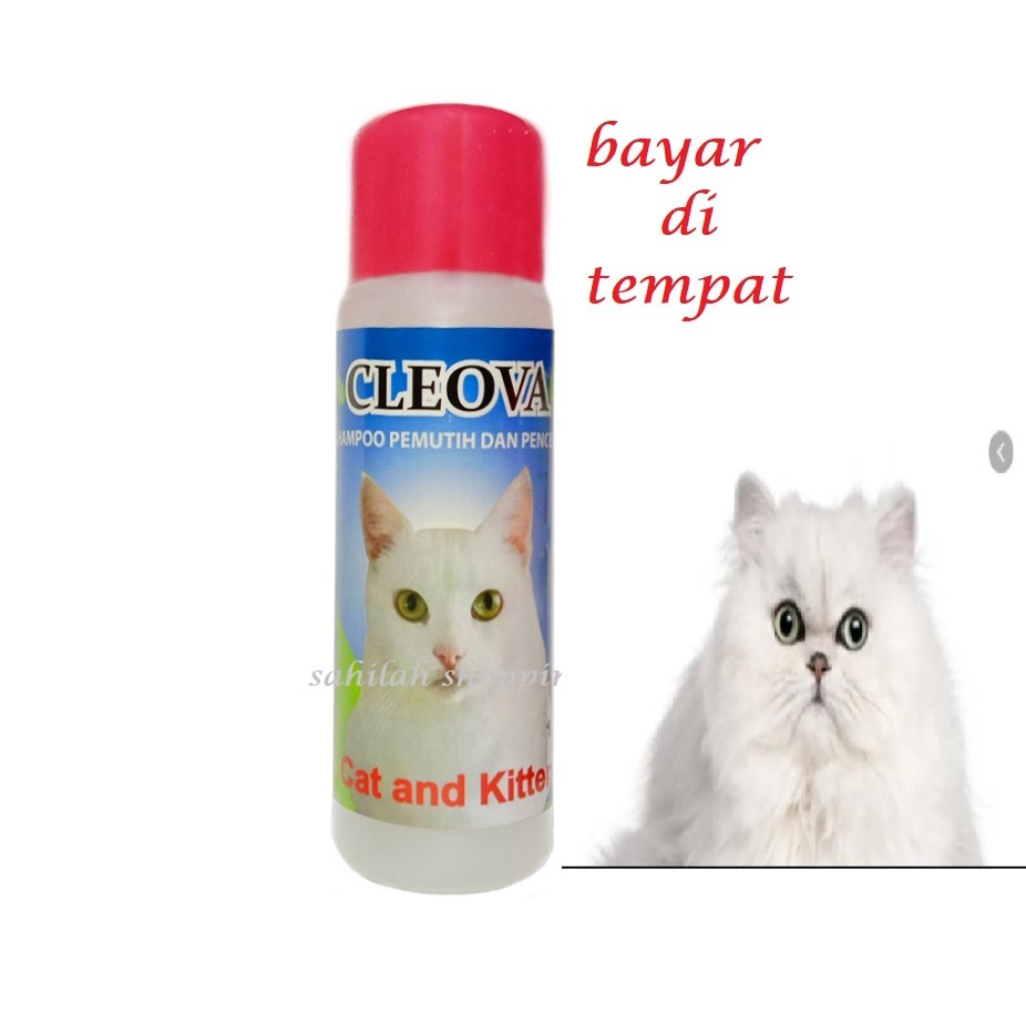 SAMPO KUCING CLEOVA SAMPO KUCING KHUSUS BULU PUTIH WHITE SOLID