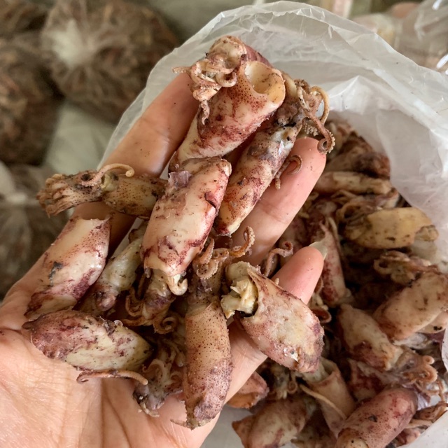 

Cumi asin baby / cumi asin remaja size 3-5 cm 500gr