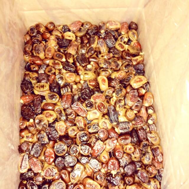 

GROSIR KURMA MURAH ASLI 100% EMIRATE GOLD BISA KIRIM KE JAKARTA SURABAYA SEMARANG SOLO YOGYAKARTA