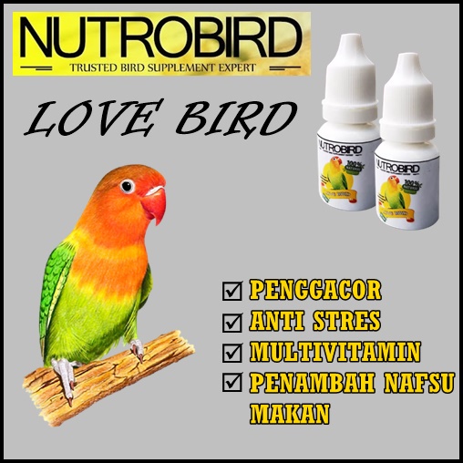 obat tetes burung love bird biar gacor vitamin lovebird ngekek panjang TERAMPUH