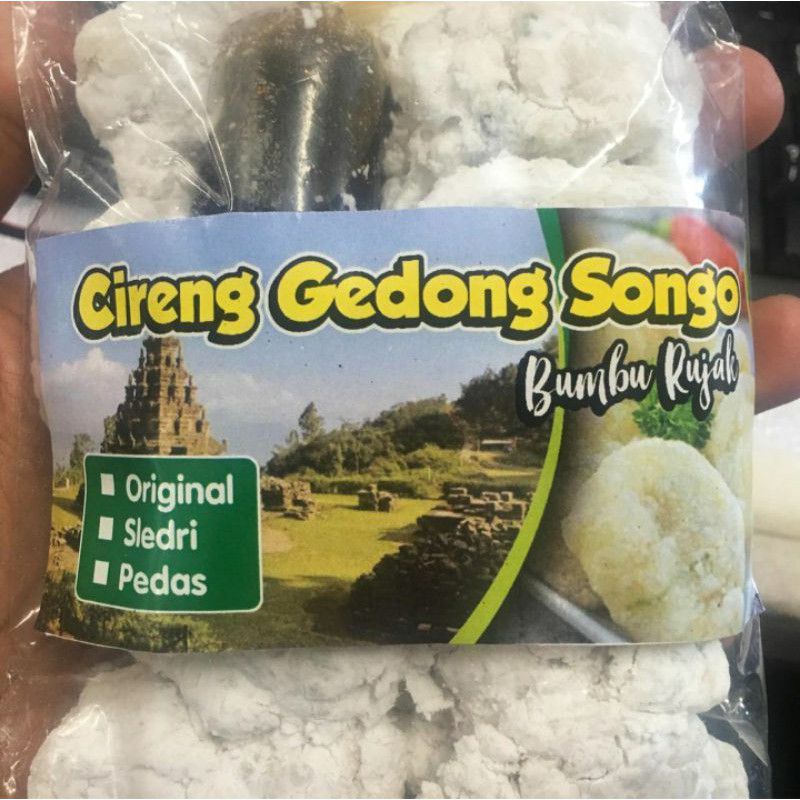 Outlet Puji_Rujak Cireng Gedong Songo Rasa Sledri