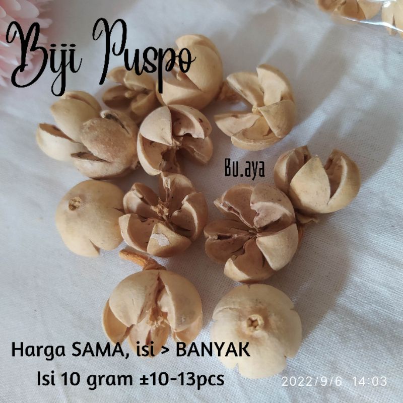 BK12 Biji Puspo 10 gram bahan ringbox mahar rustik bunga kering