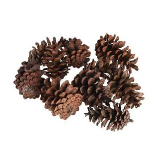 1 PACK BUNGA PINUS BAHAN CRAFT DEKORASI MAHAR 1 PACK BUNGA PINUS BAHAN CRAFT DEKORASI MAHAR