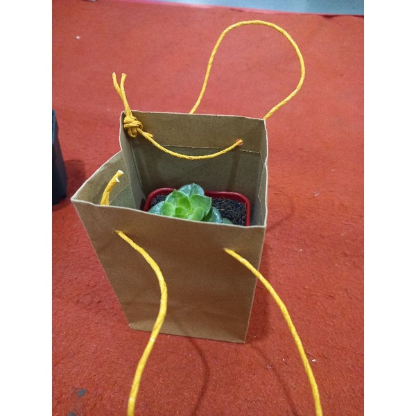 

Paperbag Polos Kaktus Sukulen 8 x 8 x 13 cm untuk 1 pot