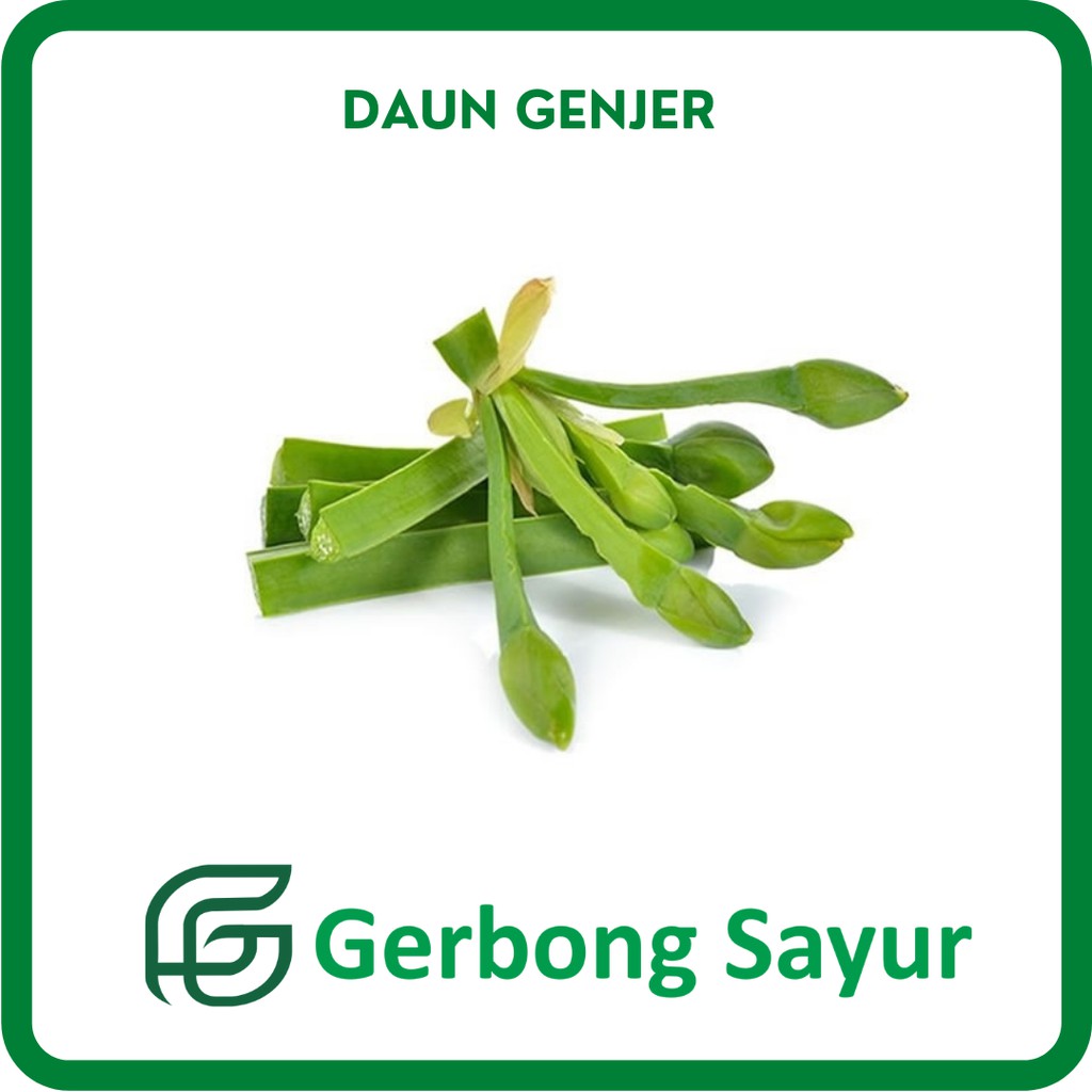 

Daun Genjer Segar - Leaves - 250g