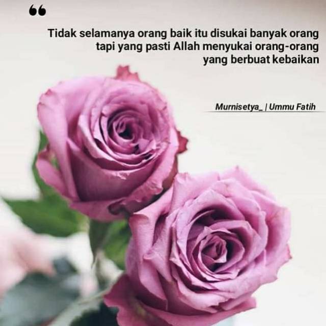 raafiproject