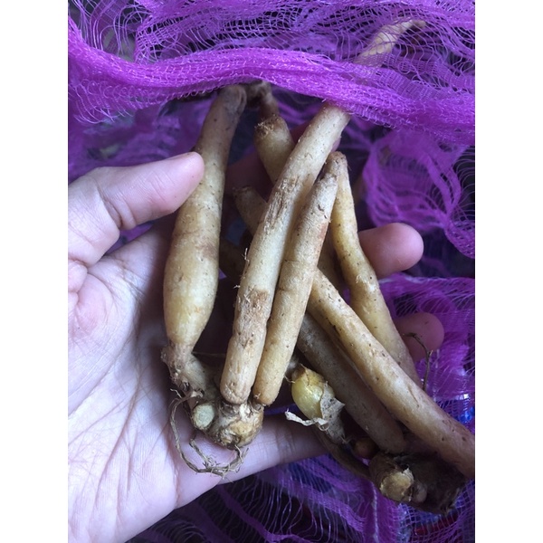

Temu Kunci 250gram