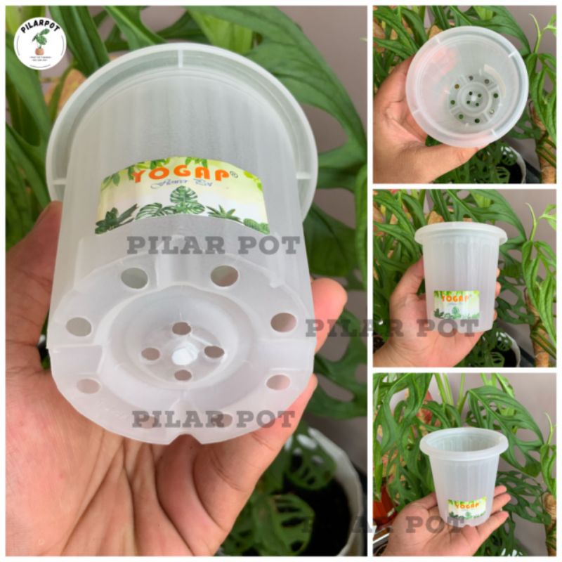 pot bunga tanaman tinggi yogap 9,5cm YPT 8 bening transparan - bahan tebal