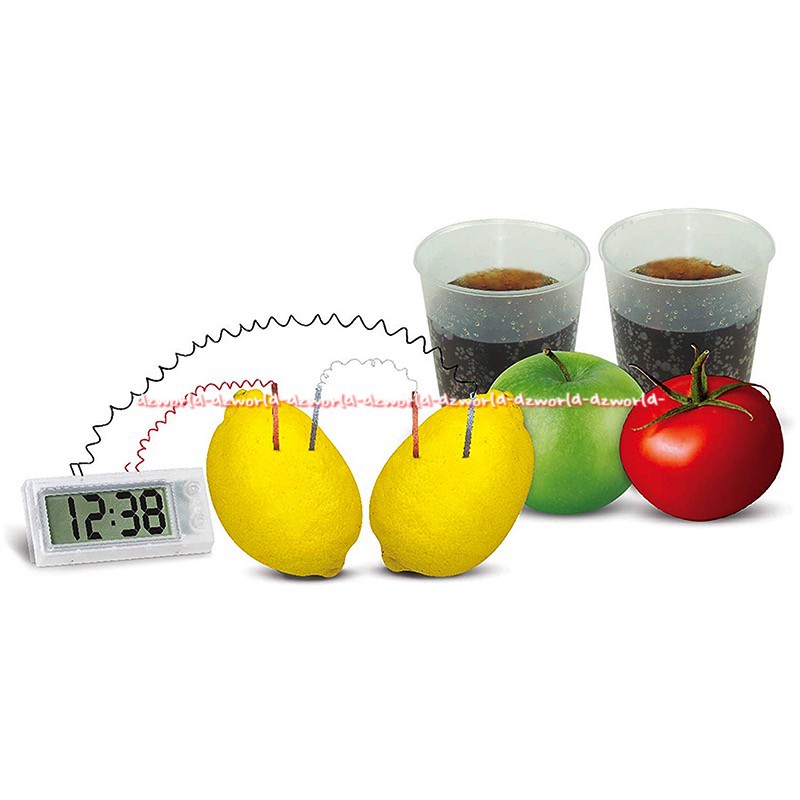 4M Green Science Potato Clock Mainan Membuat Kreasi Jam Dengan Energi Kentang