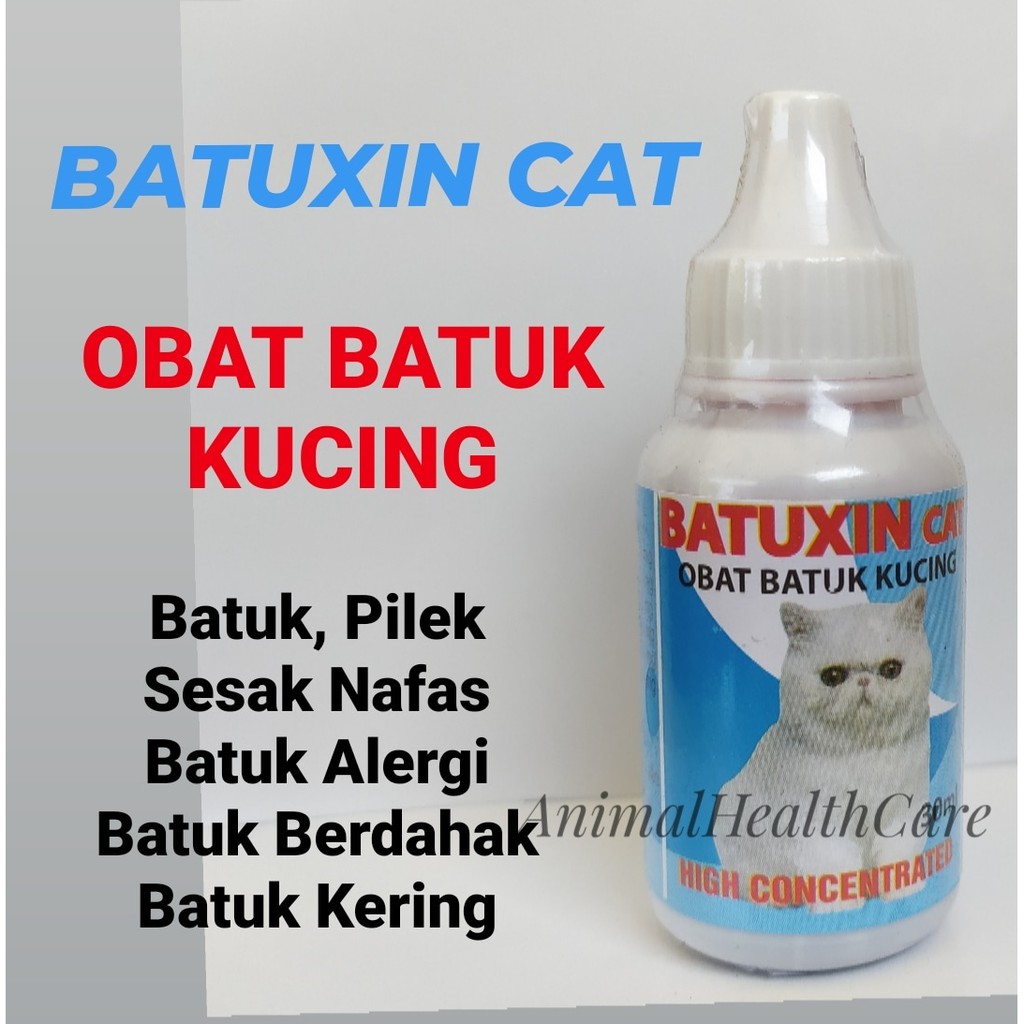 Obat Kucing Batuk Berdahak - Kicau Sejati