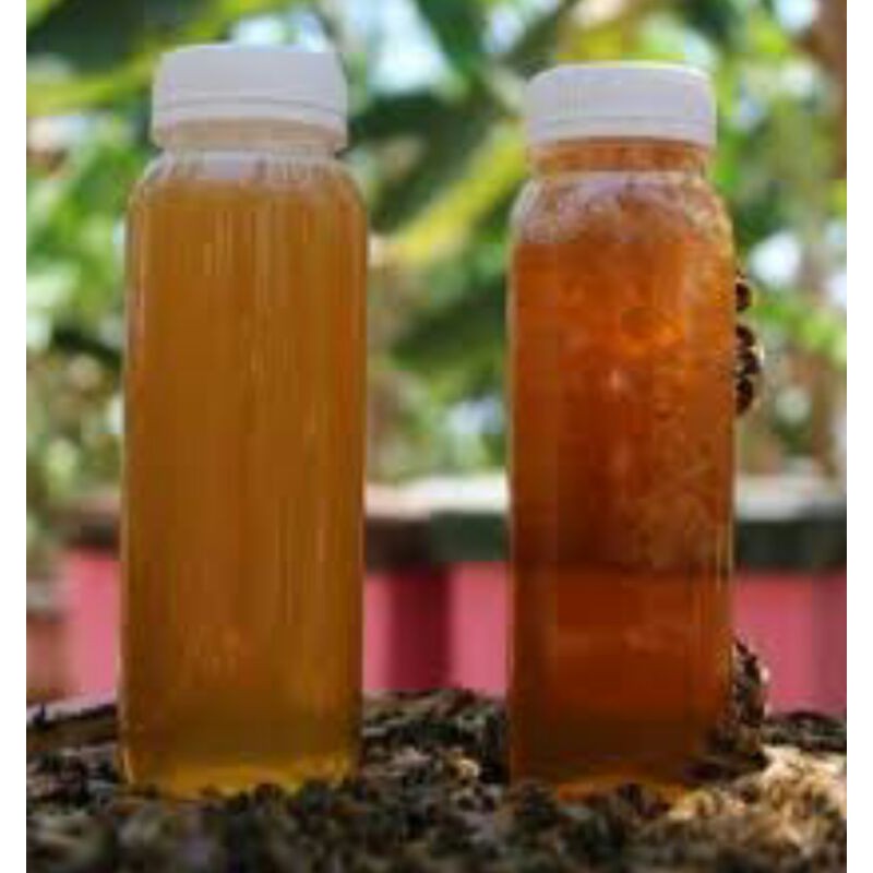 

madu hutan