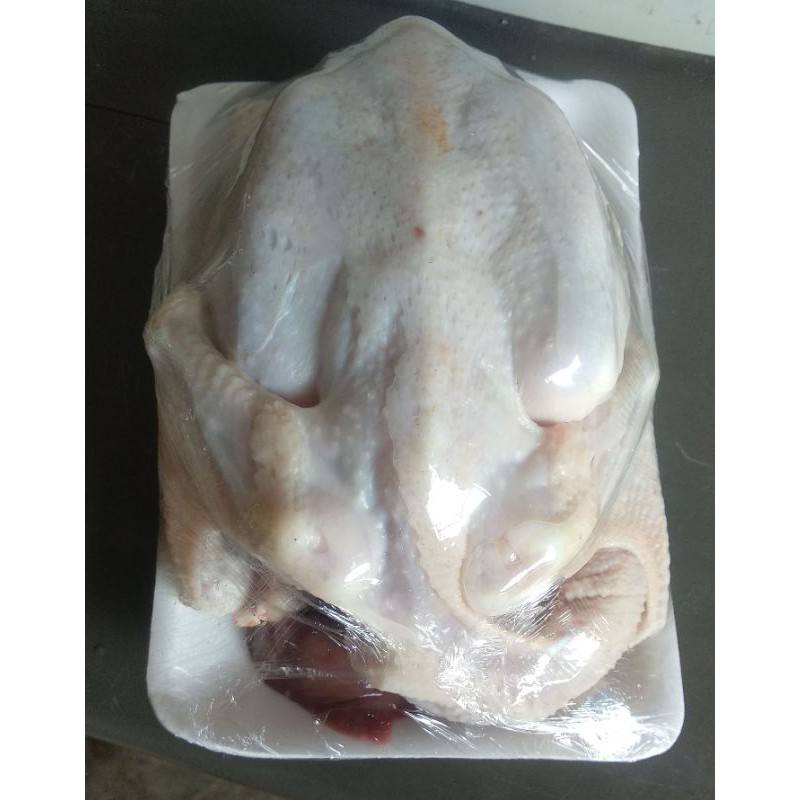 

Ayam Kampung Organik