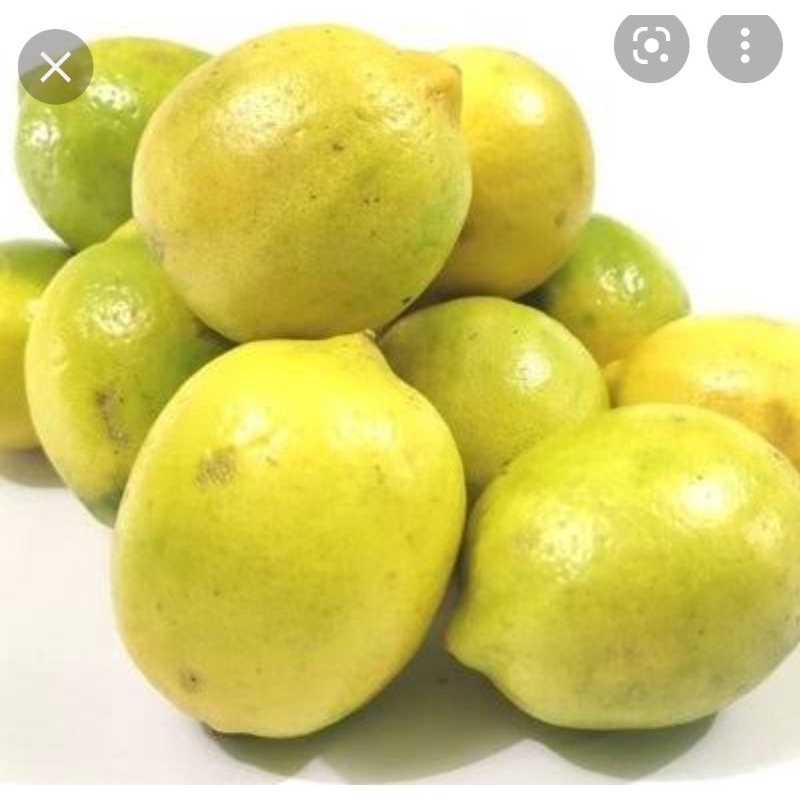 

Lemon Lokal