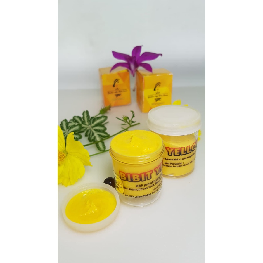 BIBIT PEMUTIH BADAN YELLOW  WAFIAA /PEMUTIH KULIT /PEMUTIH AREA HITAM /PENCERAH KULIT /BEKAS LUKA / 