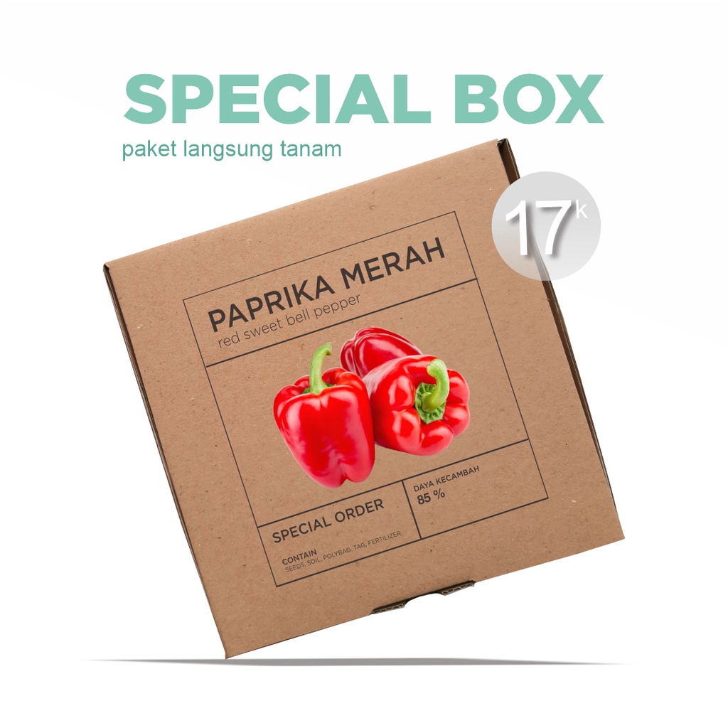 Paket Langsung Tanam - Gardening Kit - SPECIAL BOX - Benih Paprika Merah / Red Sweet Bell Pepper