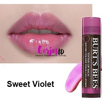 Burt's Bees Tinted Lip Balm Sweet Violet original burt burts color colour warna oil