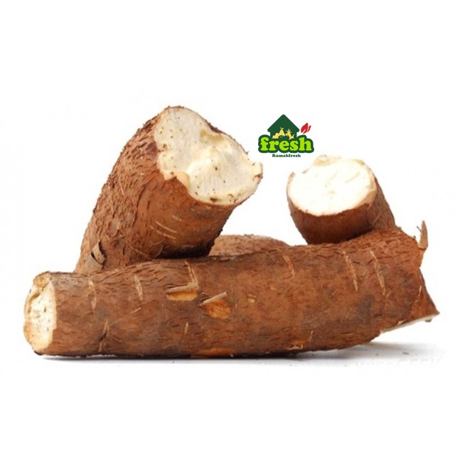 

SINGKONG 1 kilo - CASSAVA best in town