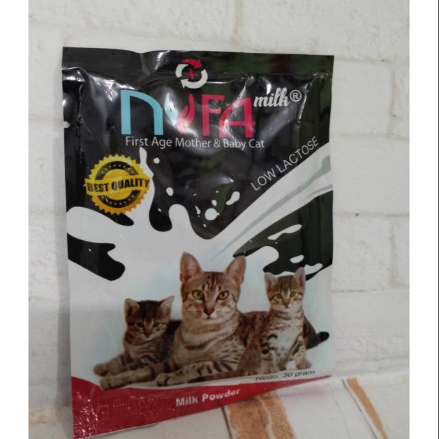 Susu kucing anakan nufa