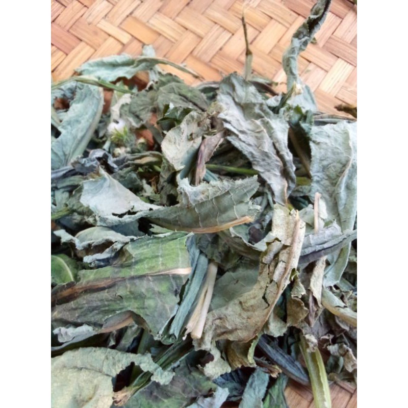 

Daun Tempuyung Kering Obat Herbal Netto 100Gram