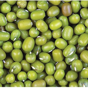 

kacang hijau 500 gr