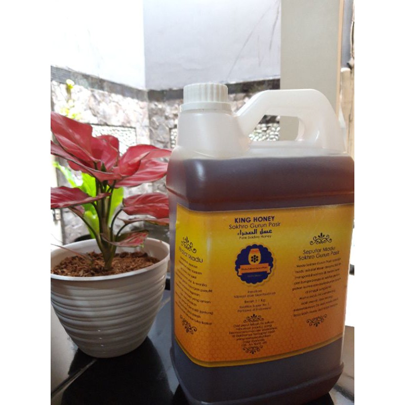 

Madu Sokhro gurun pasir 100% original