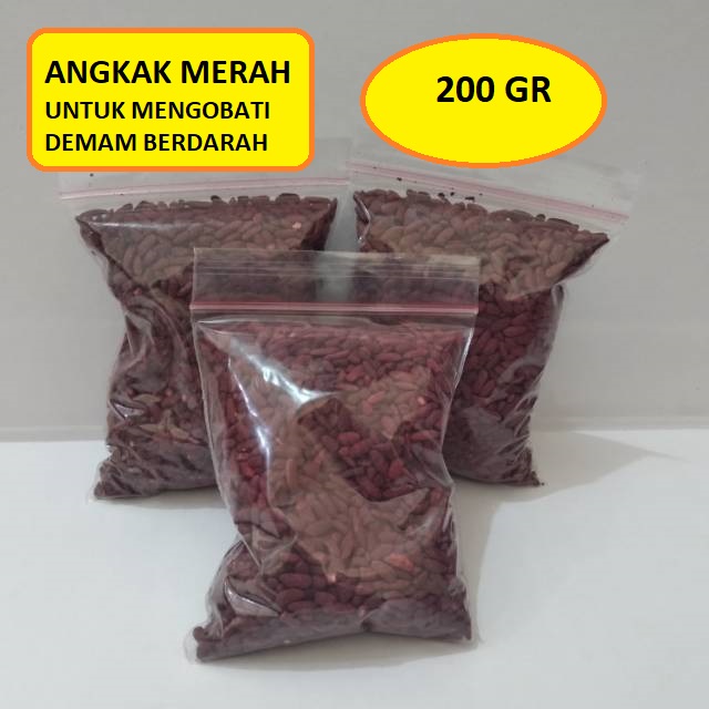 ANGKAK MERAH - ANGKAK - ANGKAK 200 Gr - BIJI ANGKAK