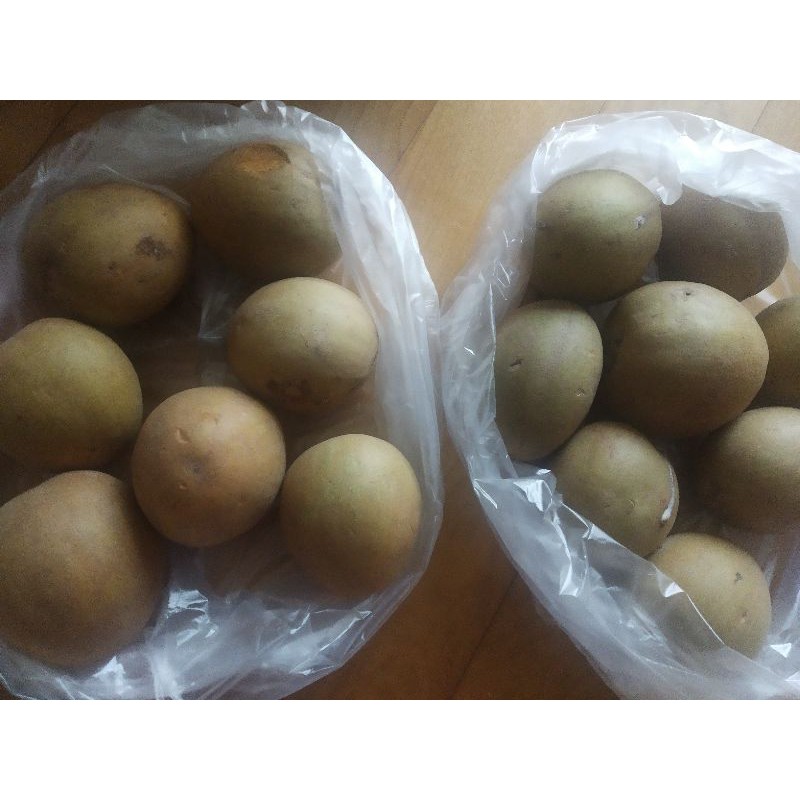 

Buah Sawo