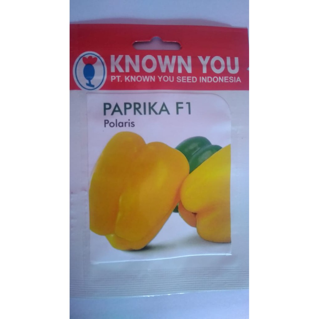 Bibit Paprika Kuning "Polaris Paprika"
