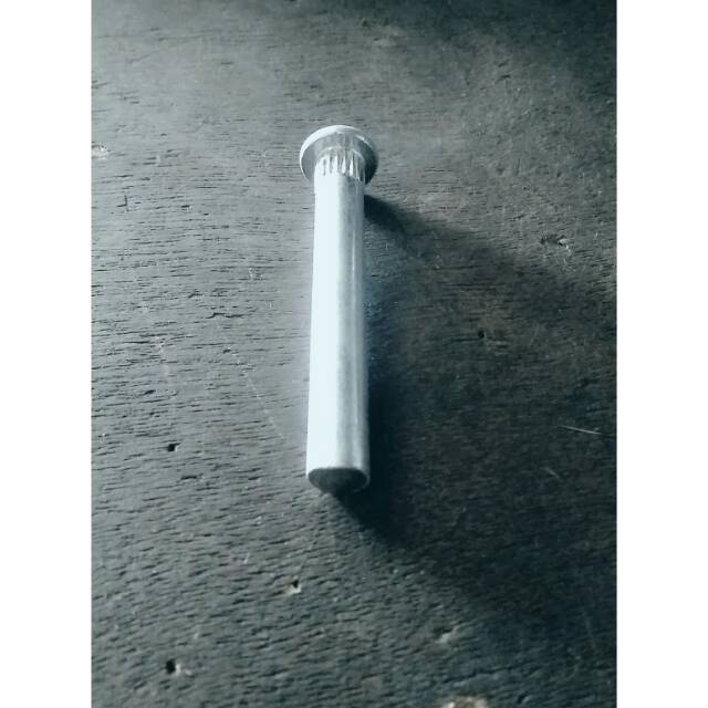 Pen as engsel pintu zebra