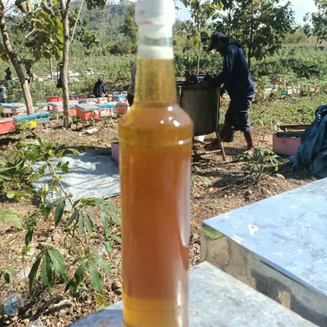 

Madu asli