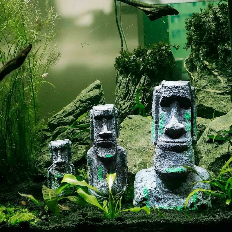 PATUNG BATU EASTER ISLAND MOUI HIASAN AQUARIUM