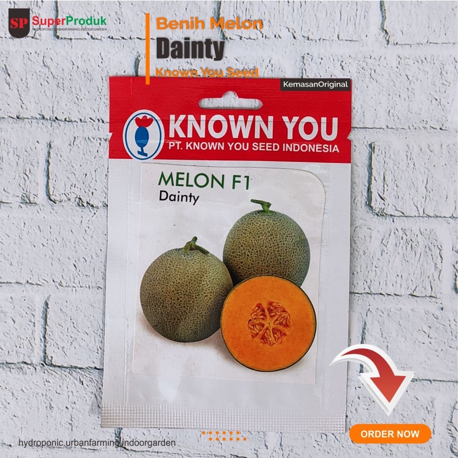Benih Melon Dainty Known You  Seed
