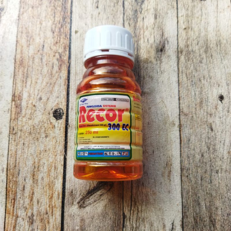 ZPT + DIFEKONAZOL SISTEMIK RECOR 300 EC ( 250 ML)