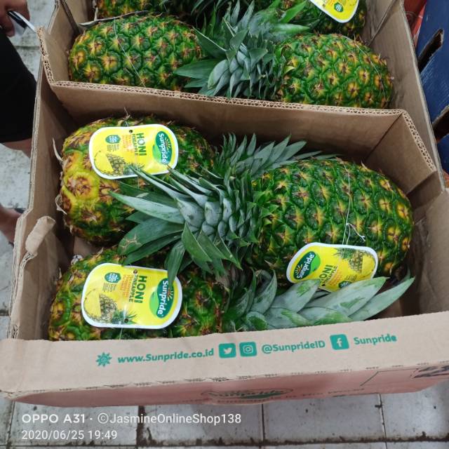 

Hot Promo !!! Nanas Madu Honi Sunpride 1 Karton