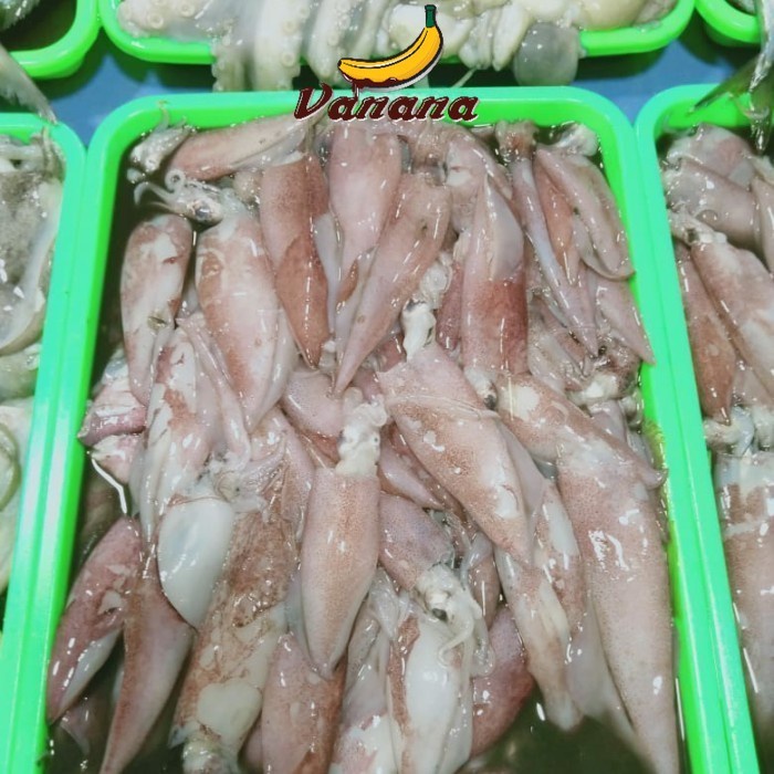 

VANANA Cumi kecil 1/2kg (500g)