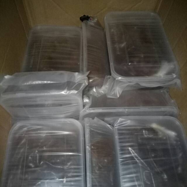 

Rendang padang asli