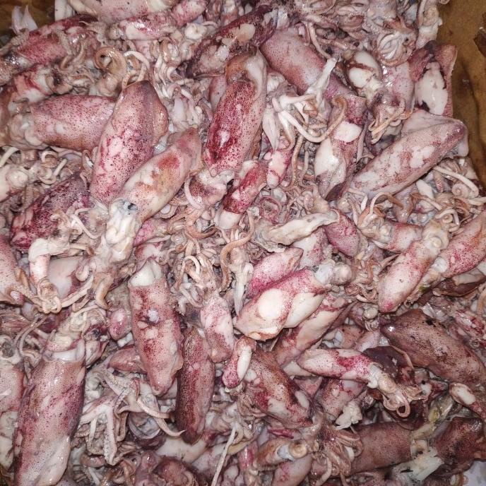 

[COD] cumi asin 1kg [COD]