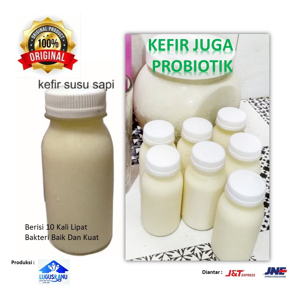 

susu kefir probiotik susu sapi masker wajah organik murni suplemen imunitas antibody