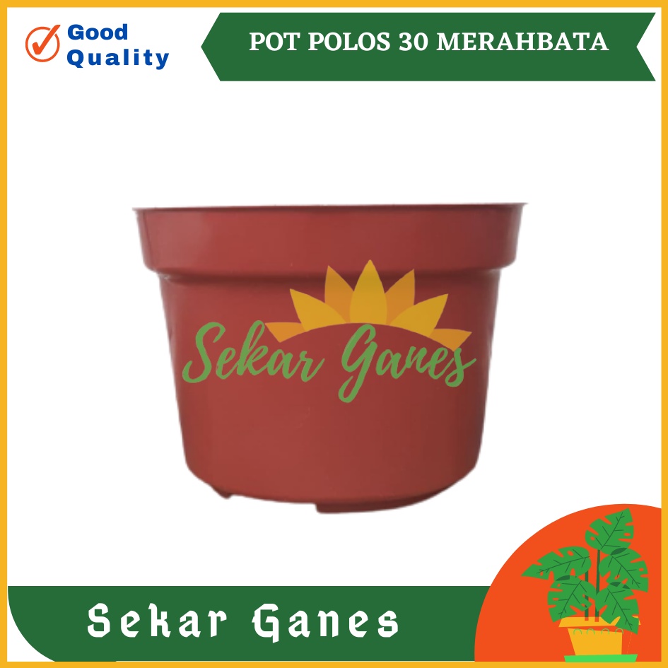 Pot 30 Merah Bata Coklat Bata Polos Pot Bunga Tanaman Hias Besar Lusinan Pot Bunga Plastik Besar 30 Coklat Bata Murah Grosir