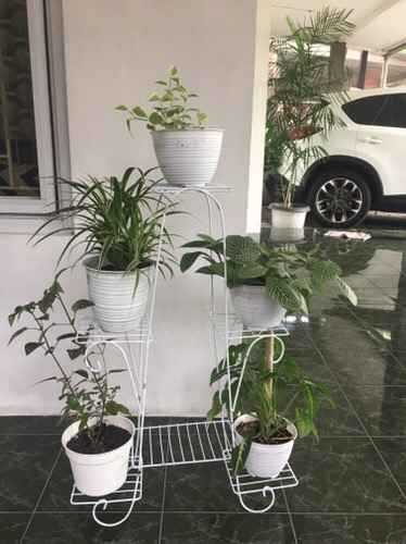 Tudung Saji Multi Storage 4 Susun Warna Saji / Food Cover Rak Makanan