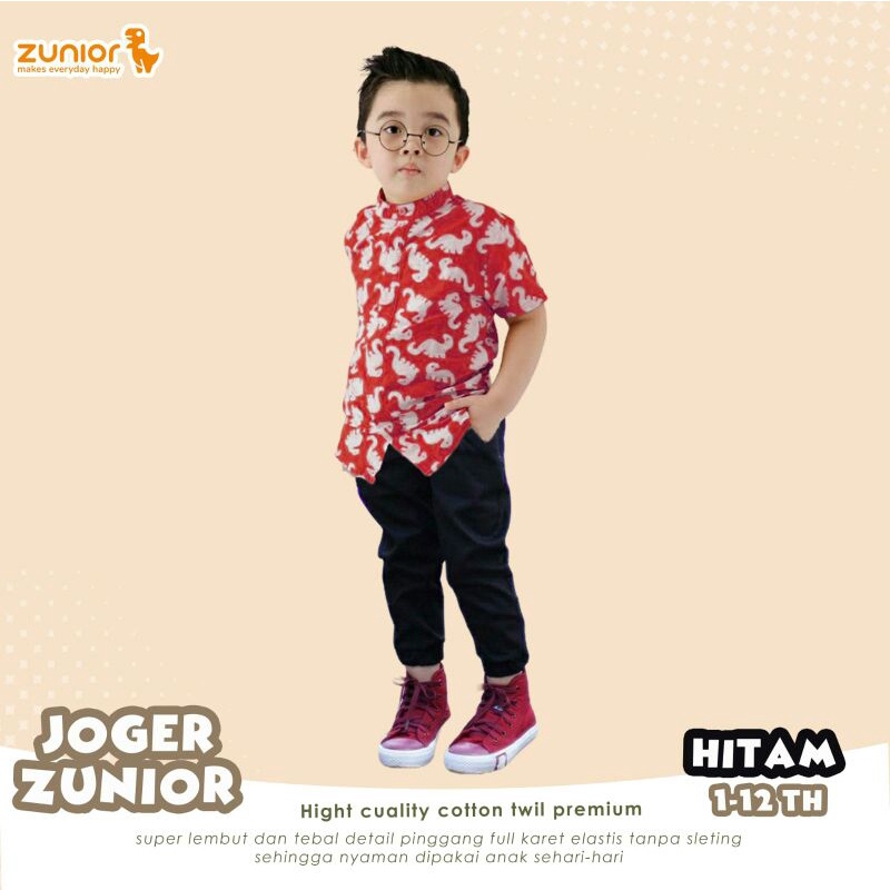 Celana Jogger Anak Premium 1-9 Tahun Zunior