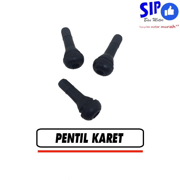 Pentil tubeless karet panjang