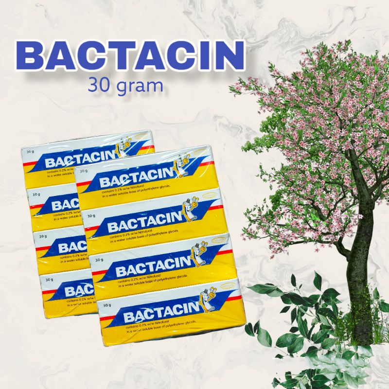 Bactacin 30 gram salep infeksi